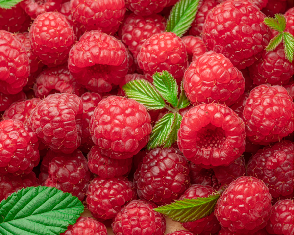 close up of raspberries