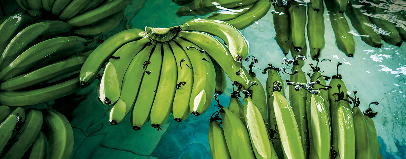 Everything's bananas! - Symrise