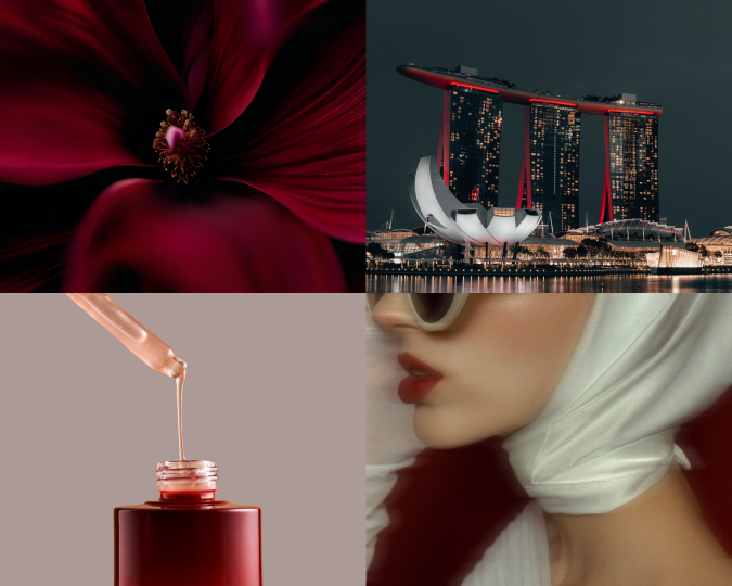 Foto collage with 4 Elements: Flower, Woman, cosmetics and a building